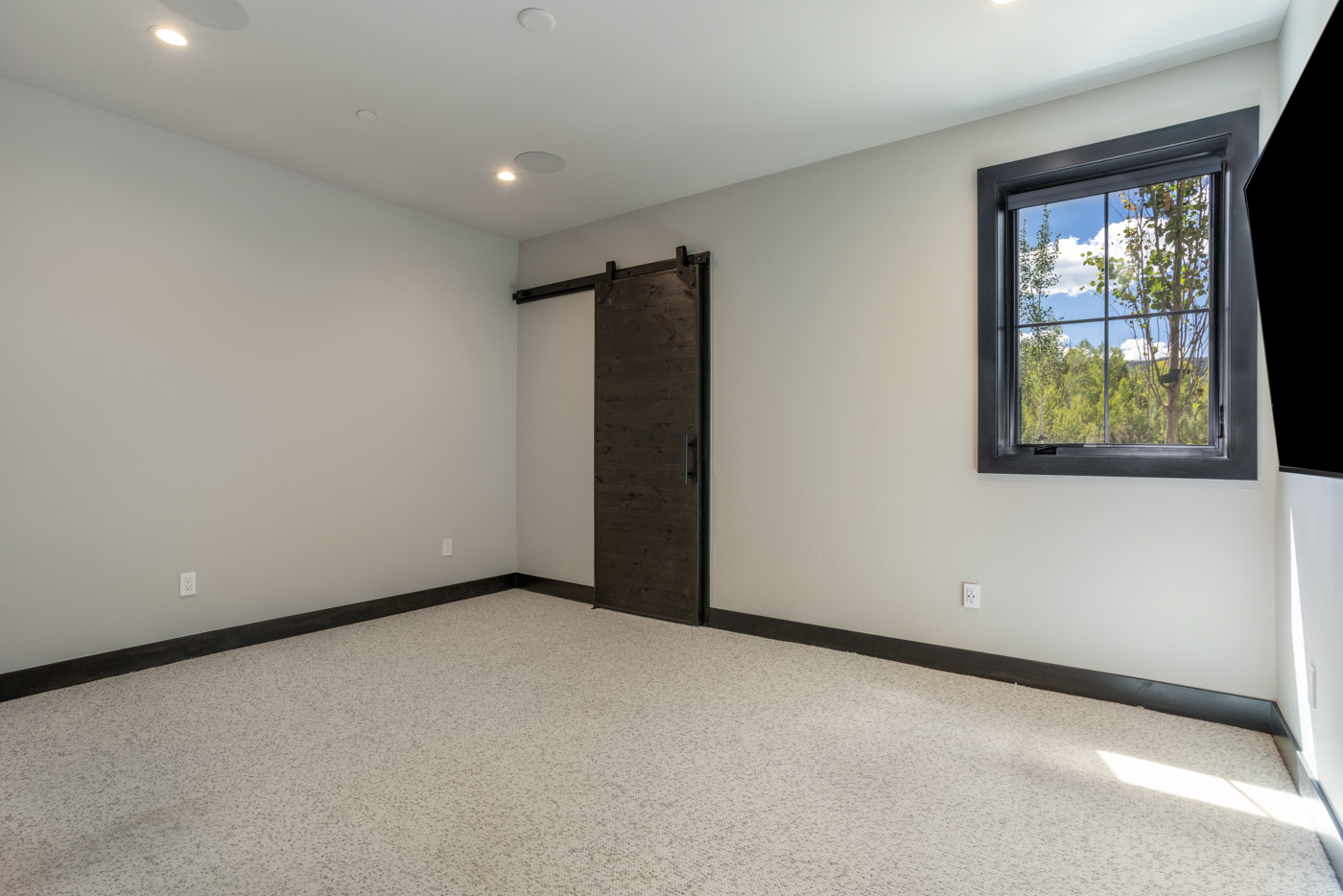 Flex room with barn door and forest window views